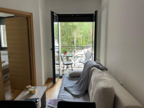 Apartment Teodora 4 ZVEZDICE-minimum 3 nocenja za rezervaciju, Zlatibor